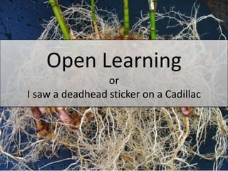 Open Learning
                 or
I saw a deadhead sticker on a Cadillac
 