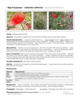 * Baja Fairyduster – Calliandra californica

(kal-ee-AN-druh kal-ih-FOR-nik-uh)

Family: Fabaceae (Pea Family)
Native to: Cape region of Baja CA; on gravelly flats, hillsides and in sandy desert washes.
evergreen perennial shrub
mature height:3-6 ft. mature width:2-5 ft.
Vase-shaped shrub with branches forming a loose meshwork. Foliage is blue-green. Leaves have
multiple leaflets (typical for Pea family). Over impression is lacey or fern-like foliage. Plants may
lose leaves in severe drought or very cold winter.

Growth characteristics:

Blooms are quite spectacular. Red ‘Fairy Duster’ puff of showy stamens. Longblooming primarily in late spring, but off and on with rains/watering. Unique & spectacular accent.
Seeds are house in typical ‘pea’ pods that explore when ripe, releasing the seeds.

Blooms/fruits:

Uses in the garden: Best used as a showy accent plant in hot sunny parts of the garden.

Can also
be grown as an informal hedge, or in pots or planters. Lends a ‘tropical’ look to the dry garden.
Flower & foliage blend well with many CA native plants including those from deserts and our local
area (Coastal Sage Scrub; Coastal Shrubland; Chaparral).

Sensible substitute for: Non-native tropical shrubs.
Attracts: Excellent hummingbird and butterfly habitat plant.

Larval food for Marine Blue butterfly.

Birds also eat the seeds.

Requirements:
Element
Sun
Soil
Water
Fertilizer
Other

Requirement

Full sun to light shade; fine in hot reflect sun areas.
Any well-drained soil including clays; any local pH.
Best in Zone 2 once established (deep watering when soil is dry); can also water
less deeply once a week in heat of summer.
None

Easy to maintain. Prune lightly to shape of remove dead branches in spring after
bloom. Never cut back to more than 18 inches from ground. Pest & disease resistant.

Management:

Propagation: from seed: spring, deep pot

by cuttings: hardwood, semi-soft wood, layering.

Plant/seed sources (see list for source numbers): 1, 3, 13, 14, 22
* Native to Baja California

1/31/11
© Project SOUND

 