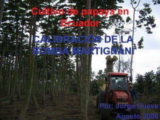 Por: Jorge Cueva Agosto 2006 CALIBRACIÓN DE LA BOMBA MARTIGNANI CALIBRACIÓN DE LA BOMBA MARTIGNANI Cultivo de papaya en Ecuador 
