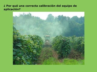 ¿ Por qué una correcta calibración del equipo de
aplicación?
 