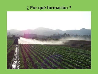 ¿ Por qué formación ?
 