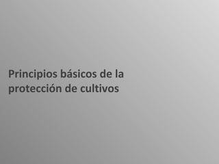 Principios básicos de la
protección de cultivos
 
