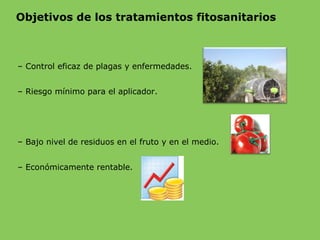 Objetivos de los tratamientos fitosanitarios
– Control eficaz de plagas y enfermedades.
– Riesgo mínimo para el aplicador.
– Bajo nivel de residuos en el fruto y en el medio.
– Económicamente rentable.
 