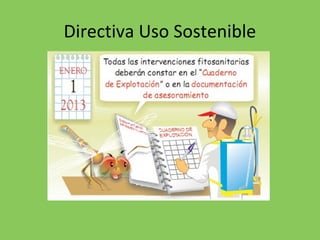 Directiva Uso Sostenible
 