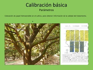 Colocación de papel hidrosensible en el cultivo, para obtener información de la calidad del tratamiento.
•
Calibración básica
Parámetros
 