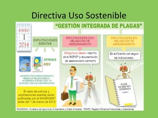 Directiva Uso Sostenible
 