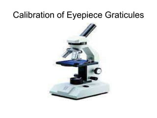 Calibration of Eyepiece Graticules
 
