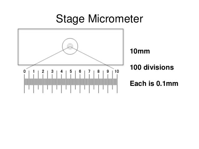 Calibration of microscope