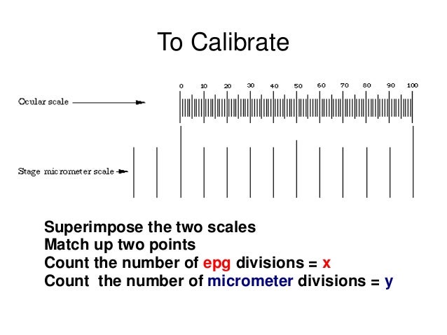 Calibration of microscope