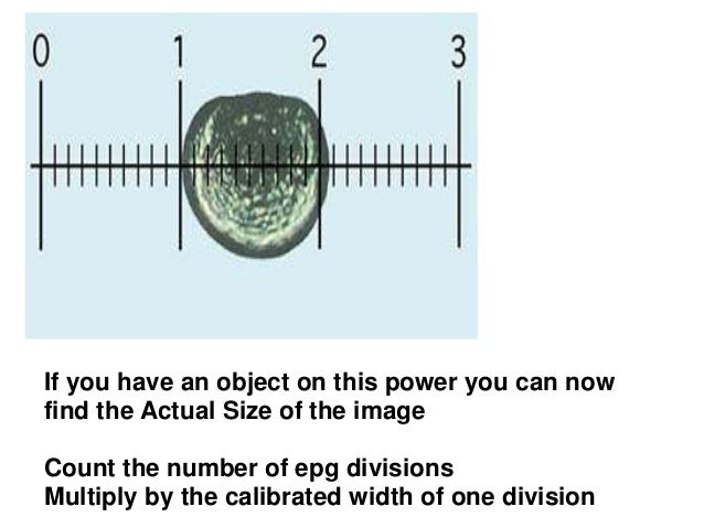 Calibration of microscope