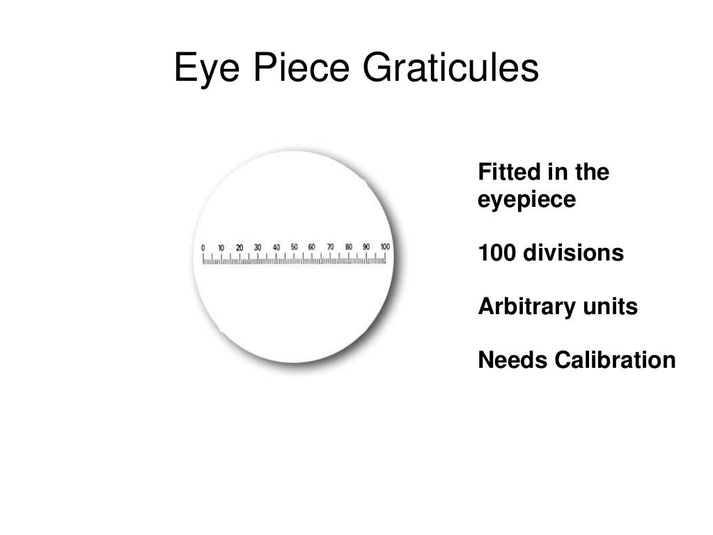Calibration of microscope