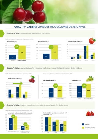 43,0
42,0
41,0
40,0
39,0
38,0
37,0
36,0
35,0
34,0
GOACTIV® CALIBRA CONSIGUE PRODUCCIONES DE ALTO NIVEL
Testigo
Rendimiento (t/ha)
Goactiv® Calibra
36,7
41,9
+13%
Testigo
Peso medio fruto (gr)
169,2
183,7
+9%
60-65 mm 66-70 mm 71-80 mm > 80 mm
Distribución de calibres (%)
5,7
20,5
55,4
18,514,8
55,5
27
2,3
Goactiv® Calibra incrementa el rendimiento del cultivo.
Goactiv® Calibra aumenta tamaño y peso de los frutos, mejorando la distribución de los calibres.
Goactiv® Calibra mejora los calibres extra e incrementa la vida útil de las fresas.
<26mm 26-29 mm >29 mm
Distribución de calibres (%)
48,9
14
59,05
26,7
37,1
14,25
TESTIGO
GOACTIV® CALIBRA
Comparación de la distribución de la producción
Rendimiento medio ( T/ha) Rendimiento medio en
calibre extra ( T/ha)
23,120,5
10,3 11,5
+13%
+12%
Evolución de la cosecha comercializable en %
conservada a 6ºC”
4 días 6 días 8 días
95,5 77,5 68,791,1 64,9
49,9
Media de 2 ensayos en cerezo con 3 aplicaciones a 2l/ha.
Media de 2 ensayos en fresas con 3 aplicaciones a 2 l/ha.
Ensayo en uva de mesa var. Timpson con 2 aplicaciones a 2l/ha.
185,0
180,0
175,0
170,0
165,0
160,0
60
50
40
30
20
10
0
70
60
50
40
30
20
10
0
25,0
23,0
21,0
19,0
17,0
15,0
13,0
11,0
9,0
7,0
5,0
100,0
90,0
80,0
70,0
60,0
50,0
40,0
30,0
20,0
10,0
0,0
Testigo Testigo
Peso medio de racimo (gr) Producción (Kg/ha)
533,35 33513
626,25 38490
+17% +15%
800
600
400
200
0
40000
35000
30000
25000
20000
15000
10000
5000
0
Goactiv® Calibra
Goactiv® Calibra Goactiv® Calibra
Media de 4 ensayos en manzano con 3 aplicaciones a 2 l/ha.
 
