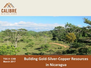 TSX.V: CXB
March 2017
Building Gold-Silver-Copper Resources
in Nicaragua
 
