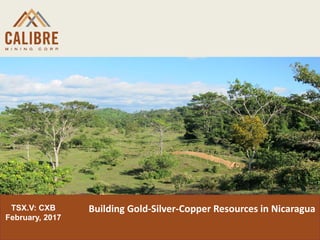 TSX.V: CXB
February, 2017
Building Gold-Silver-Copper Resources in Nicaragua
 