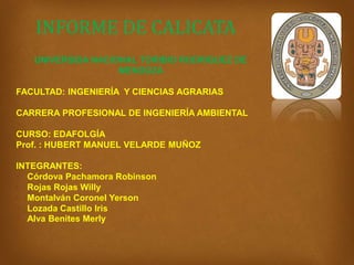 UNIVERSIDA NACIONAL TORIBIO RODRIGUEZ DE
MENDOZA
FACULTAD: INGENIERÍA Y CIENCIAS AGRARIAS
CARRERA PROFESIONAL DE INGENIERÍA AMBIENTAL
CURSO: EDAFOLGÍA
Prof. : HUBERT MANUEL VELARDE MUÑOZ
INTEGRANTES:
• Córdova Pachamora Robinson
• Rojas Rojas Willy
• Montalván Coronel Yerson
• Lozada Castillo Iris
• Alva Benites Merly
INFORME DE CALICATA
 