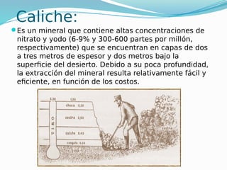 Caliche seminario.pdf