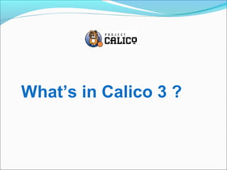 What’s in Calico 3 ?
 