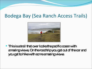 Bodega Bay (Sea Ranch Access Trails)  This is a trail that over looks the pacific ocean with amazing views, On the road trip you get out of the car and you get to hike with some amazing views. 