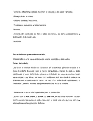 •Clima: las altas temperaturas deprimen la producción de grasa y proteína.
• Manejo de los animales.
• Ordeño: calidad y frecuencia.
•Técnicas de evaluación y factor humano.
• Mastitis.
•Alimentación: contenido de fibra y otros elementos, así como procesamiento y
distribución de la ración, etc.
•Nutrición.
Procedimientos para un buen ordeño
El desarrollo de una buena práctica de ordeño se divide en tres partes:
Orden del ordeño
Las vacas a ordeñar deben ser separadas en un solo lote para ser llevadas a la
zona de ordeño despacio y con la mayor tranquilidad, evitando los golpes. Debe
planificarse el orden del ordeño: primero se ordeñarán las vacas primerizas, luego
vacas viejas y, por último, las vacas con problemas. Así, se evitará el contagio de
enfermedades como la mastitis dentro del hato. Esto se facilitará implementado la
Prueba de California mastitis test por lo menos una vez a la semana.
Las razas de bovinos más importantes para la producción
Lechera son: la HOLSTEIN, la SUIZA y la JERSEY. En las zonas tropicales se usan
con frecuencia las cruzas de estas razas con el cebú. Los cebú puro no son muy
adecuados para la producción de leche.
 
