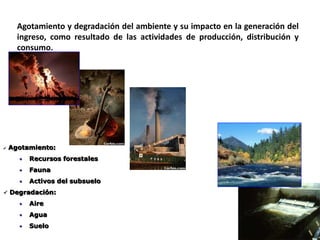 Agotamiento y degradación del ambiente y su impacto en la generación del
ingreso, como resultado de las actividades de producción, distribución y
consumo.
 Agotamiento:
• Recursos forestales
• Fauna
• Activos del subsuelo
 Degradación:
• Aire
• Agua
• Suelo
 