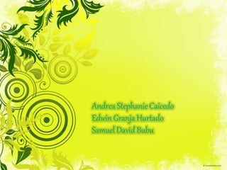 Andrea Stephanie Caicedo 
Edwin Granja Hurtado 
Samuel David Bubu 
 