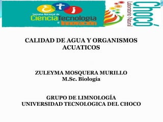 CALIDAD DE AGUA Y ORGANISMOS
         ACUATICOS



   ZULEYMA MOSQUERA MURILLO
          M.Sc. Biología


       GRUPO DE LIMNOLOGÍA
UNIVERSIDAD TECNOLOGICA DEL CHOCO
 