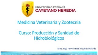 Medicina Veterinaria y Zootecnia
Curso: Producción y Sanidad de
Hidrobiológicos
MVZ. Mg. Fariva Trilce Vicuña Alvarado
 