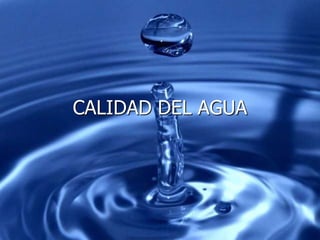 CALIDAD DEL AGUA
 