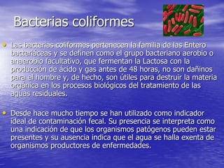 Bacterias coliformes
• Las bacterias coliformes pertenecen la familia de las Entero
bacteriáceas y se definen como el grupo bacteriano aerobio o
anaerobio facultativo, que fermentan la Lactosa con la
producción de ácido y gas antes de 48 horas, no son dañinos
para el hombre y, de hecho, son útiles para destruir la materia
orgánica en los procesos biológicos del tratamiento de las
aguas residuales.
• Desde hace mucho tiempo se han utilizado como indicador
ideal de contaminación fecal. Su presencia se interpreta como
una indicación de que los organismos patógenos pueden estar
presentes y su ausencia indica que el agua se halla exenta de
organismos productores de enfermedades.
 
