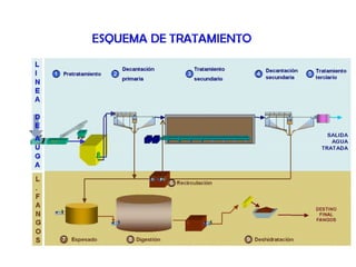 La qualitat de l'aigua