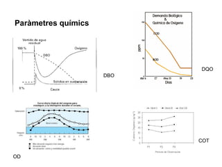 Paràmetres químics
OD
COT
DQO
DBO
 