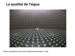 La qualitat de l'aigua
Interior del detector de neutrins Super-Kamiokande al Japó
 