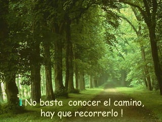 ¡ No basta conocer el camino,
hay que recorrerlo !
 