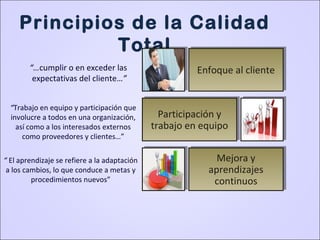 Principios de la Calidad
Total
“…cumplir o en exceder las
expectativas del cliente…”
“Trabajo en equipo y participación que
involucre a todos en una organización,
así como a los interesados externos
como proveedores y clientes…”
“ El aprendizaje se refiere a la adaptación
a los cambios, lo que conduce a metas y
procedimientos nuevos”
Enfoque al cliente
Participación y
trabajo en equipo
Mejora y
aprendizajes
continuos
 