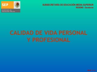 CALIDAD DE VIDA PERSONAL Y PROFESIONAL Abril, 2009. SUBSECRETARÍA DE EDUCACIÓN MEDIA SUPERIOR RESEMS - Zacatecas 