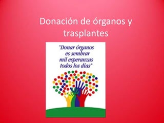 Donación de órganos y
     trasplantes
 