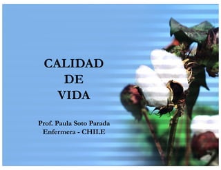 1
CALIDAD
DE
VIDA
Prof. Paula Soto Parada
Enfermera - CHILE
 