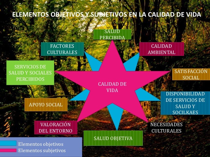 Calidad de vida