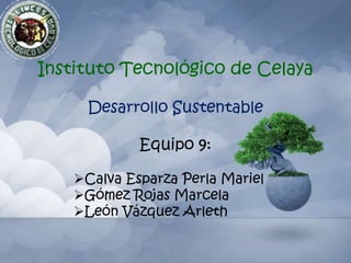Instituto Tecnológico de Celaya  Desarrollo Sustentable  Equipo 9: ,[object Object]