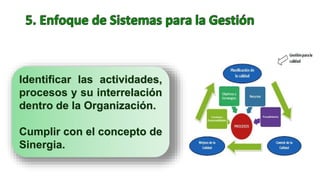 Identificar las actividades,
procesos y su interrelación
dentro de la Organización.
Cumplir con el concepto de
Sinergia.
 