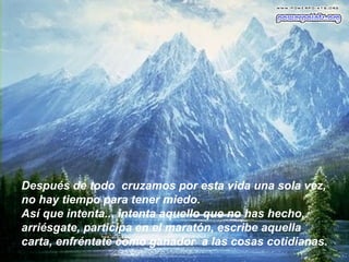 Después de todo cruzamos por esta vida una sola vez,
no hay tiempo para tener miedo.
Así que intenta... intenta aquello que no has hecho,
arriésgate, participa en el maratón, escribe aquella
carta, enfréntate como ganador a las cosas cotidianas.
 