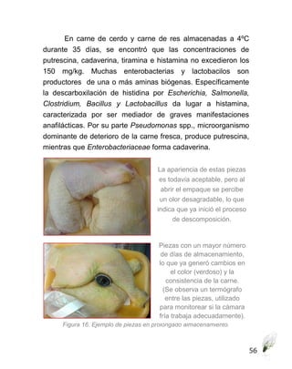 Calidad microbiológica de la carne de pollo.