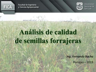 Ing. Fernando Bacha
Forrajes – 2019
Análisis de calidad
de semillas forrajeras
 