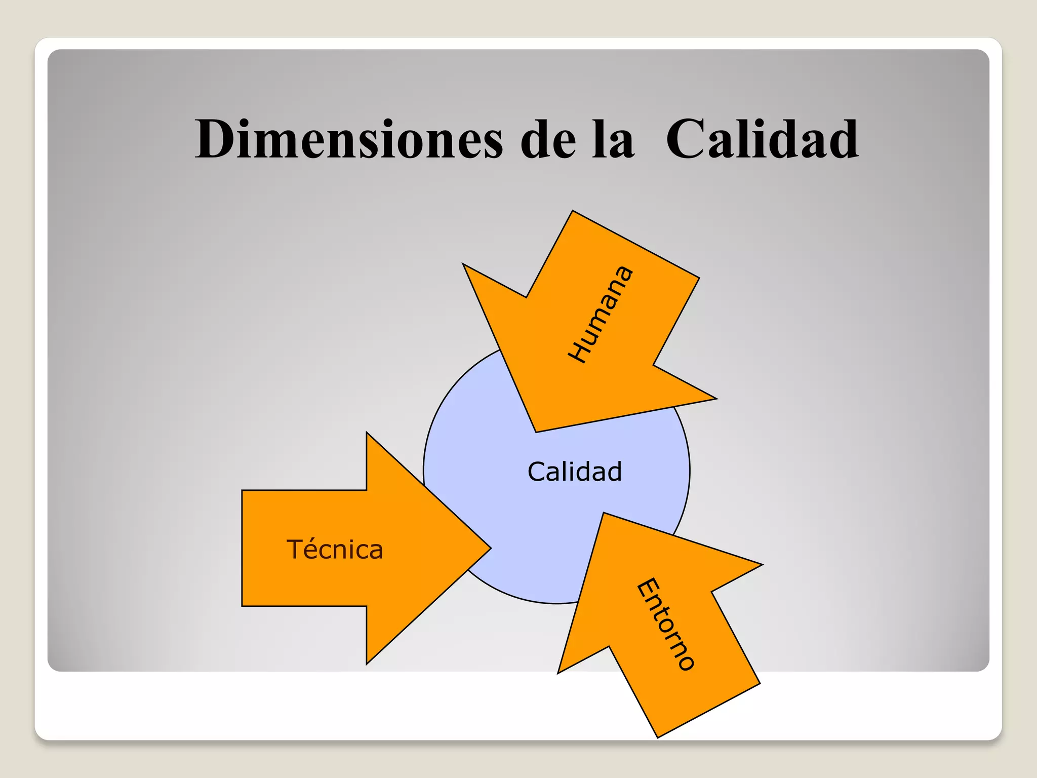 CALIDAD Y DIMENSIONES DE LA CALIDAD (04).pdf
