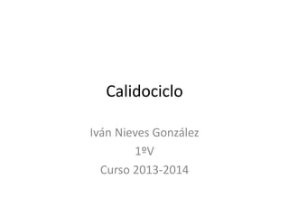 Calidociclo 
Iván Nieves González 
1ºV 
Curso 2013-2014 
 
