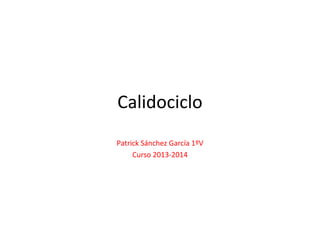 Calidociclo 
Patrick Sánchez García 1ºV 
Curso 2013-2014 
 