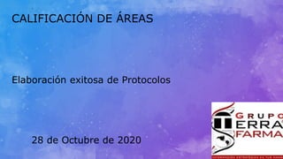 1
CALIFICACIÓN DE ÁREAS
Elaboración exitosa de Protocolos
28 de Octubre de 2020
 