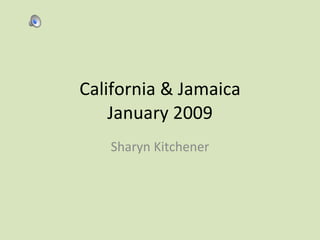 California & Jamaica January 2009 Sharyn Kitchener 