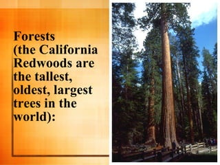 Forests  (the California Redwoods are the tallest, oldest, largest trees in the world): 