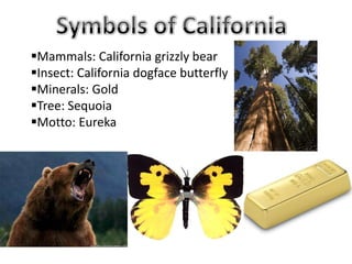 Mammals: California grizzly bear
Insect: California dogface butterfly
Minerals: Gold
Tree: Sequoia
Motto: Eureka
 